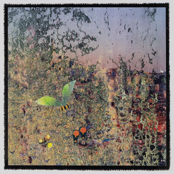 MUSINGS # 13